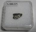 Gibeon vas-nikkel meteorit Lh: Namibia (14)