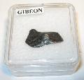 Gibeon vas meteorit Lh: Namibia, Namaland (16)