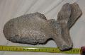 Mammuth ( vertebra ) csigolya Lh: Bugyi Gy: 2013. (70)