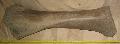 Mammuthus sp. Mamut tibia csont Lh: kavicsbnya Gy: 2013. december. (122)