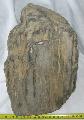Fa kvlet wood (holcz) fossil (4630 gramm) Lh: kavicsbnya Gy: 2014. prilis (230)