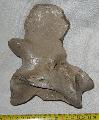 Bison sp. msodik nyakcsigolya (axis vertebra) Lh: Kavicsbnya Gy: 2014. jlius (381)