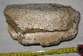 Mammuthus sp. agyar (tusk) Lh: Kavicsbnya Gy: 2014. augusztus (442)