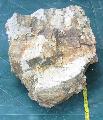 Miocn kor fa kvlet Lh: Rtka mrete kb: 77 cm x 40 cm x 20 cm tmege: 54,5 Kg (24)