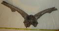 Megaloceros giganteus koponya tredk (risszarvas) Lh: Kavicsbnya Gy: 2016. oktber (1800)