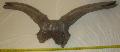 Megaloceros giganteus koponya tredk (risszarvas) Lh: Kavicsbnya Gy: 2016. oktber (1800)
